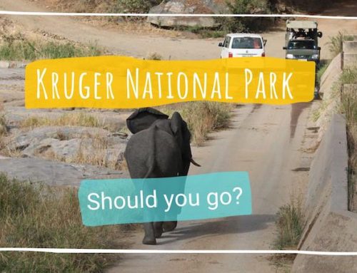 Kruger National Park, Should You Go?