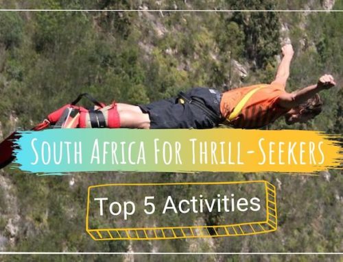 Top 5 Activities for Thrill-Seekers along the Garden Route