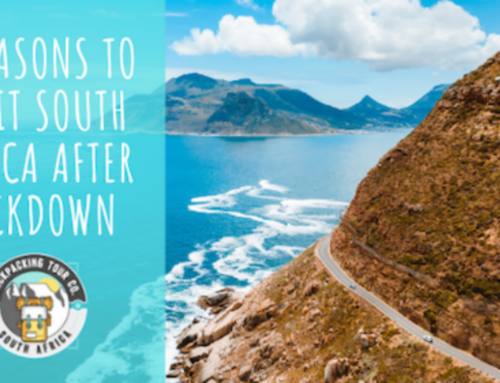 7 Reasons To Visit South Africa After Lockdown